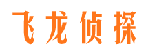 临武市调查公司